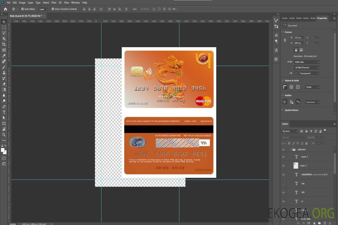 Bhoutan Druk PNB mastercard bancaire template